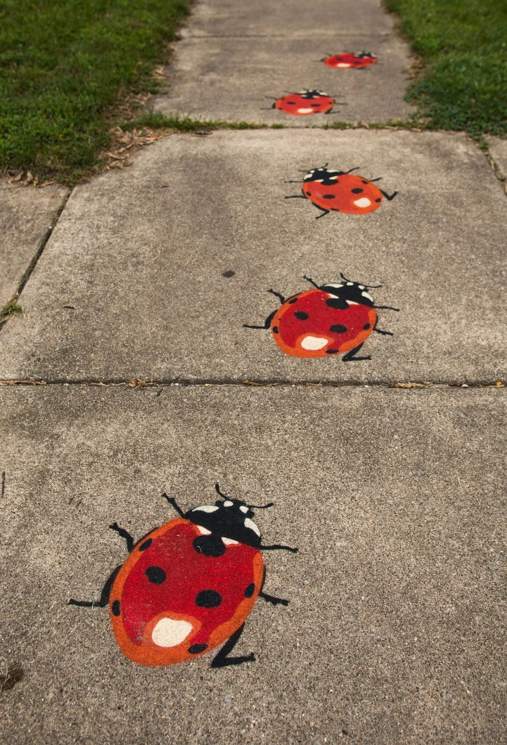 Ladybugs-by-fnnch-Wabash-Walls-2018-Lafayette-Indiana.jpg