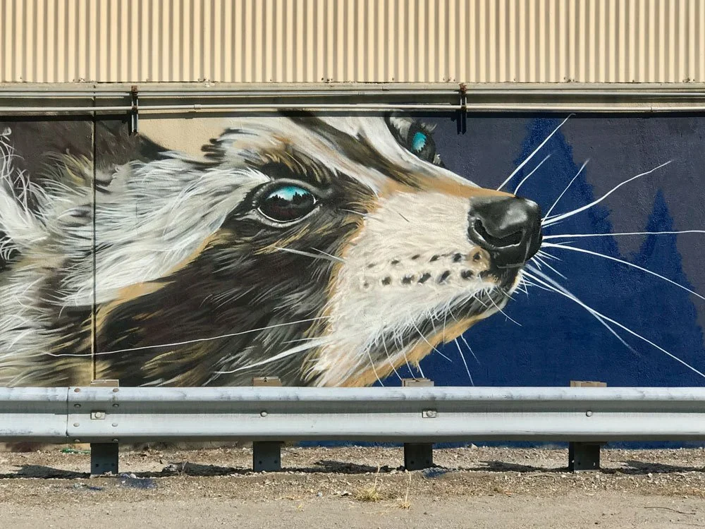 Racoon mural by CAMER1sf at Wabash Walls Lafayette Indiana.jpg