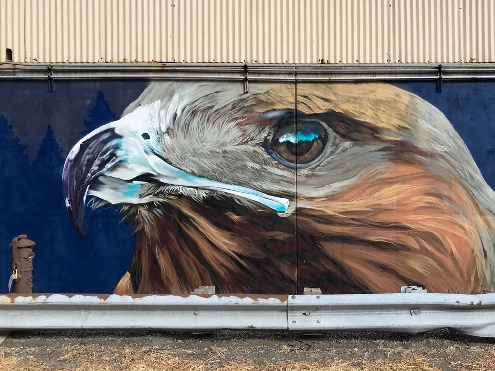 Red Tailed Hawk mural by CAMER1sf at Wabash Walls Lafayette Indiana.jpg