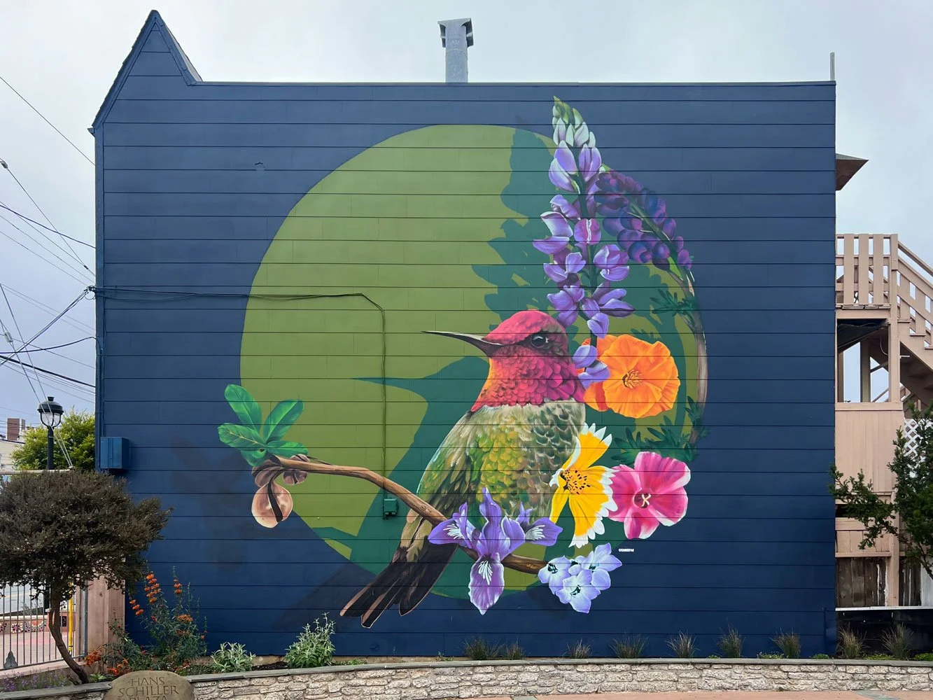 Humming-Bird-mural-by-Camer1sf-Visitacion-Valey-San-Francisco.jpg