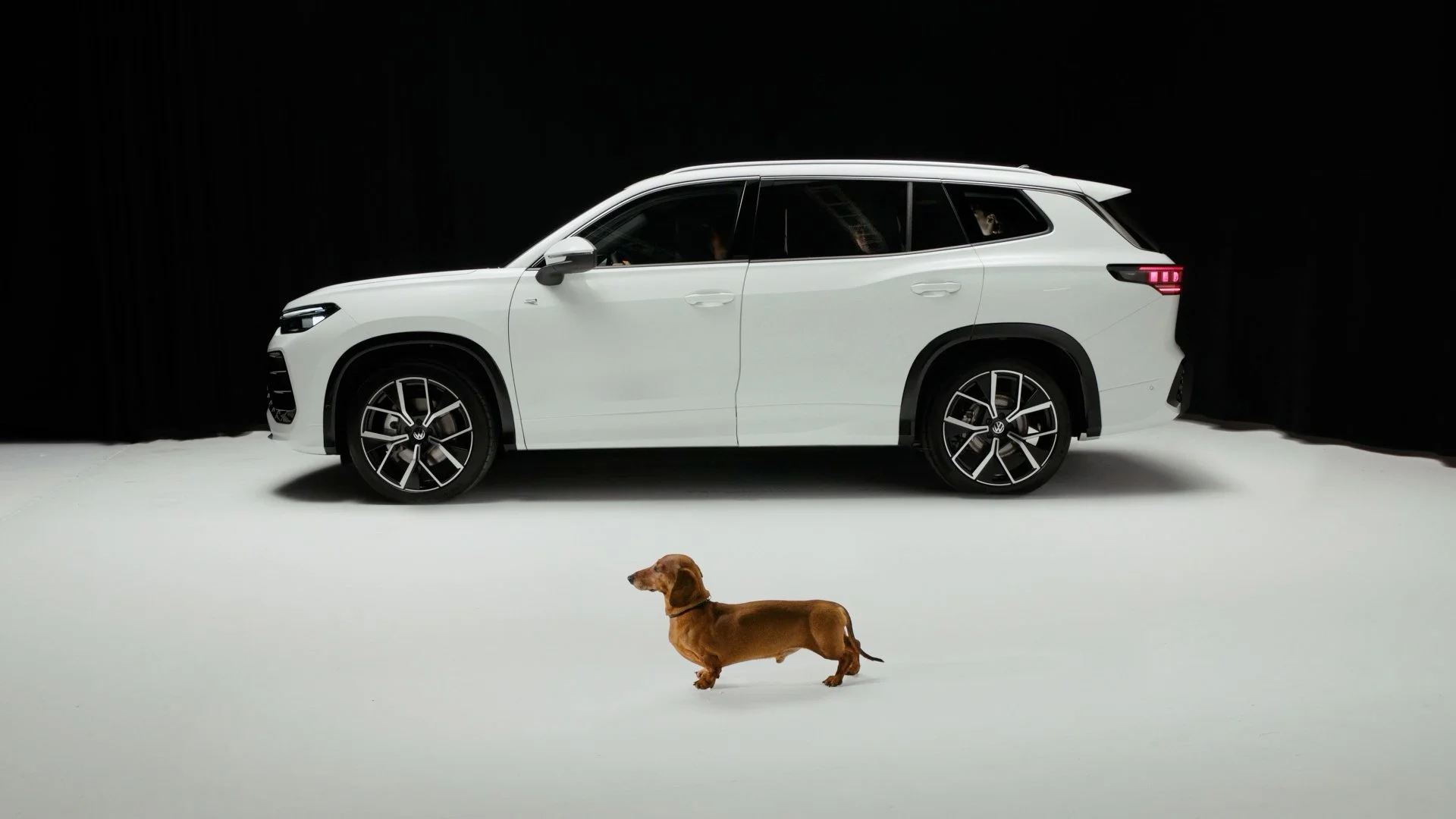 VWTayron_0000_Layer 3.jpg