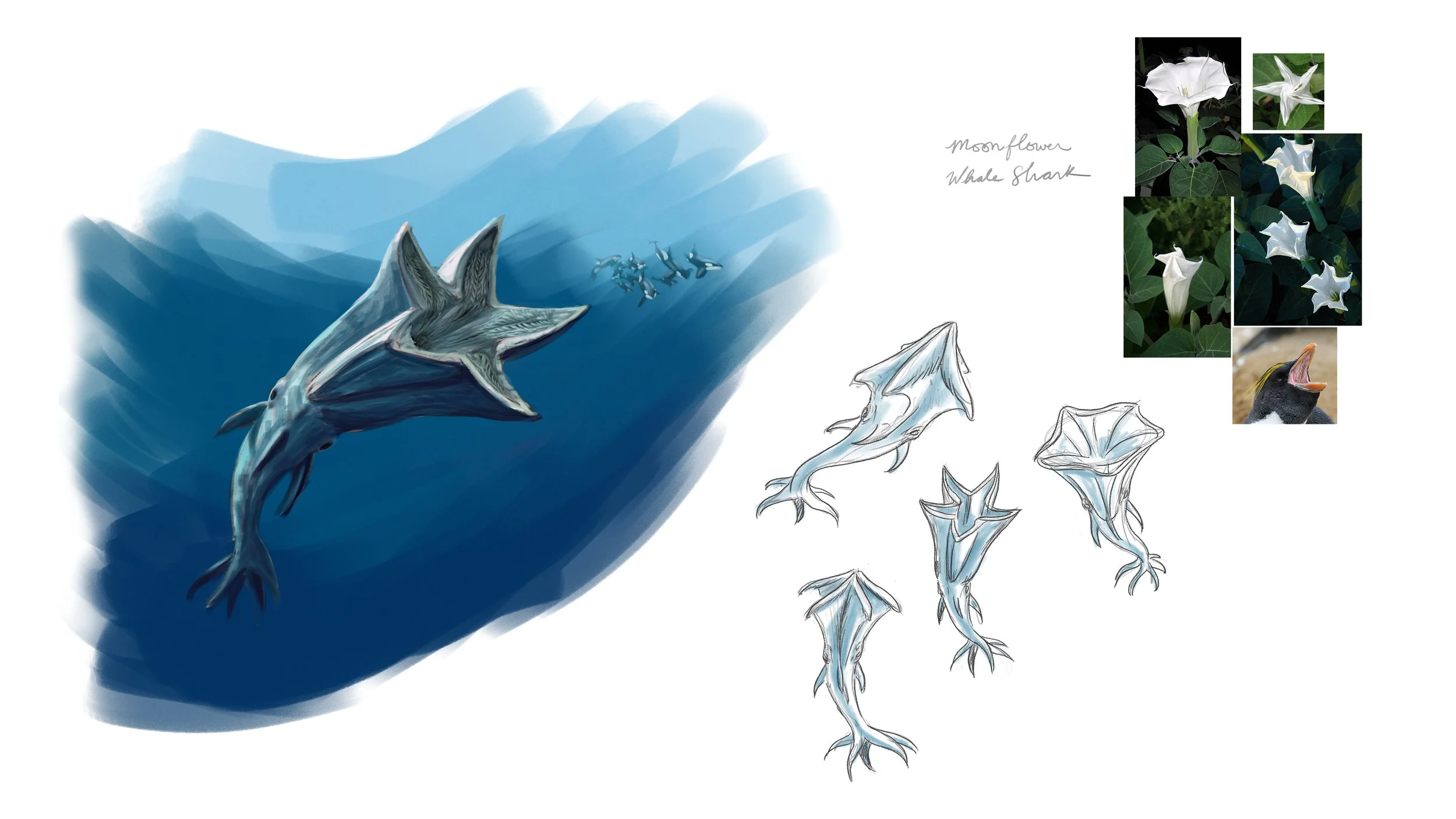 Moonflower_WhaleShark.jpg
