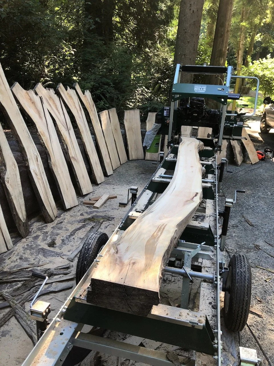A wood slab cutter machine with a large, live edge wooden slab on it, outdoors in a forested area. Multiple cut wood slabs are leaning against trees in the background.