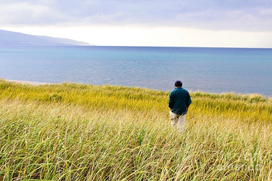 lonely-man-in-the-field-nongnuch-leelaphasuk.jpg