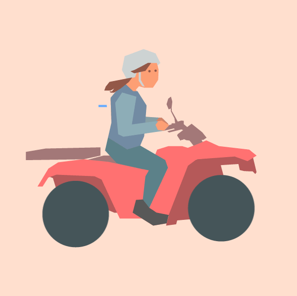 vehicle_expii.gif