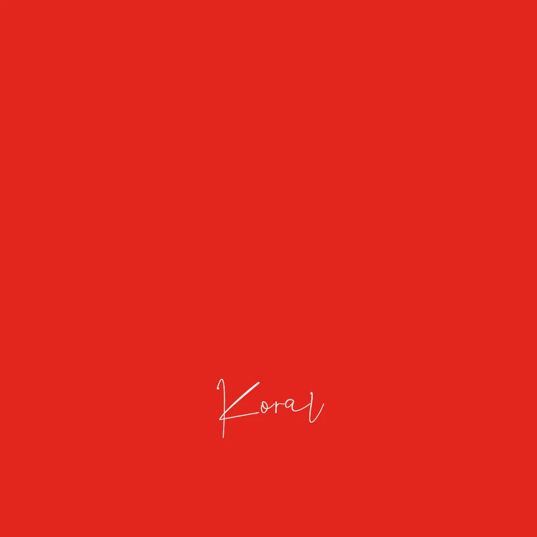 koral_palette.jpg