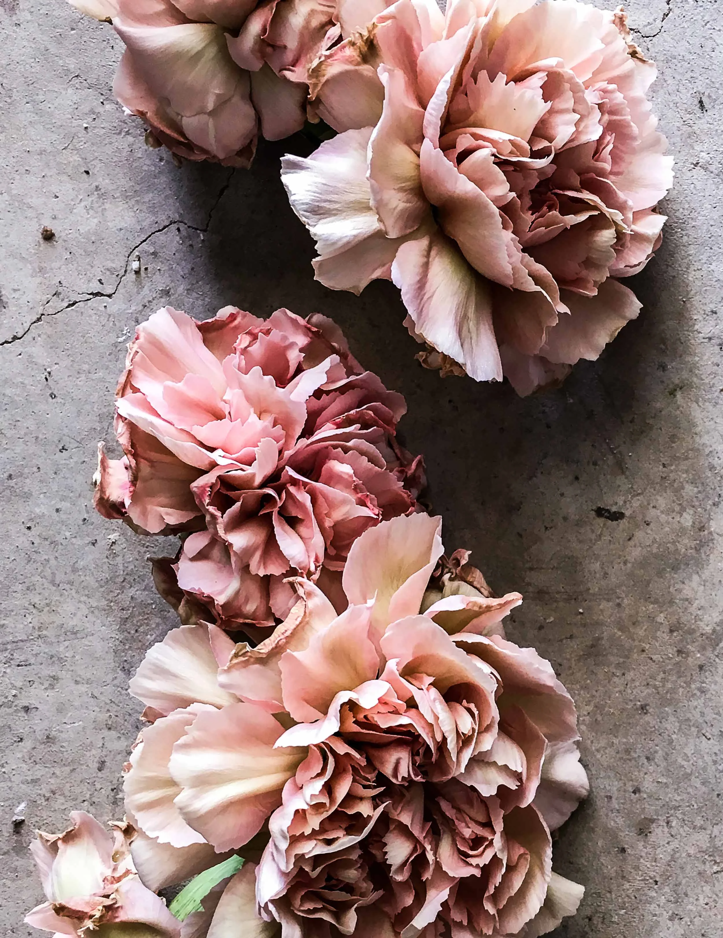 <a href="/love-light">Love & Light</a>