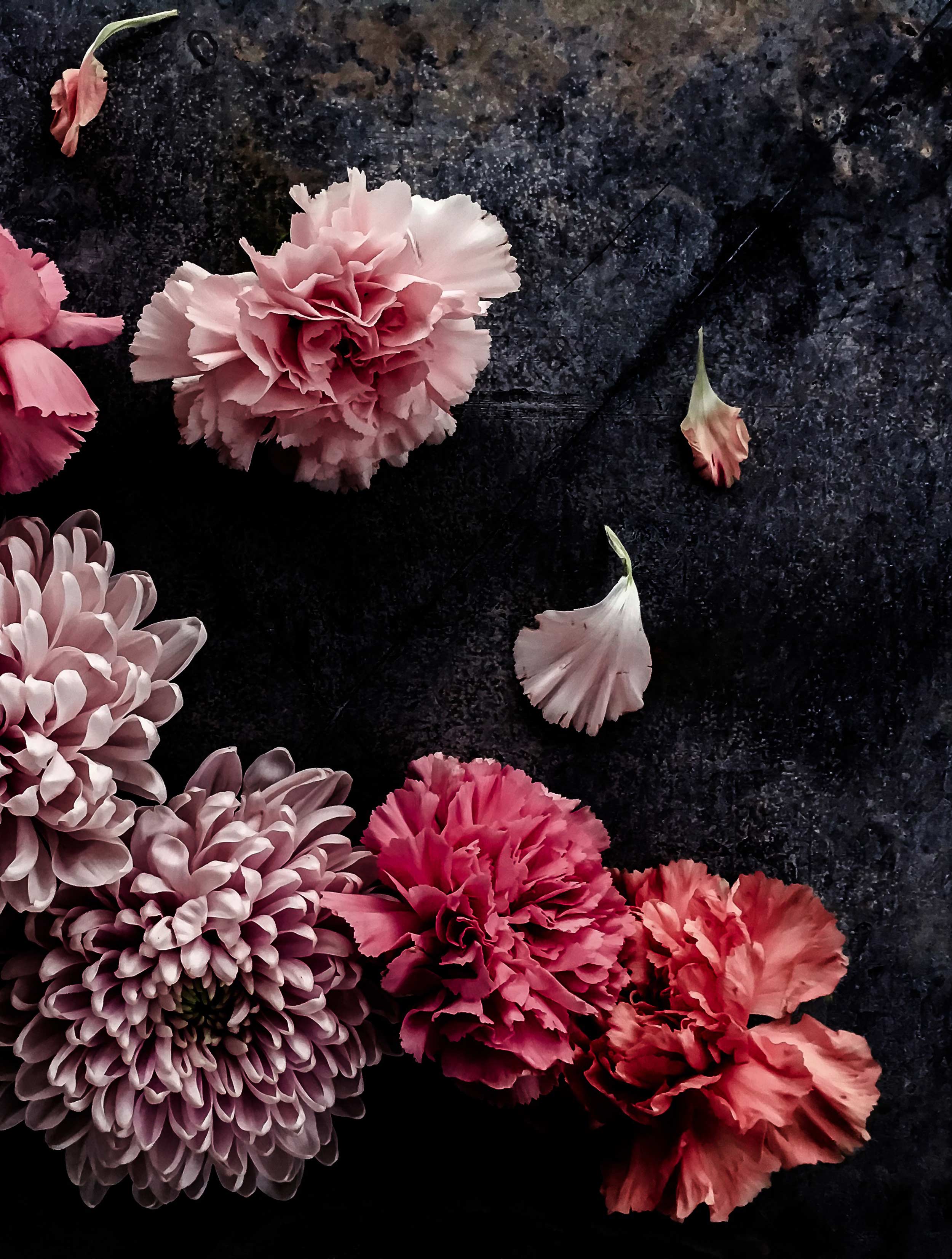 <a href="/indigo">Indigo</a>