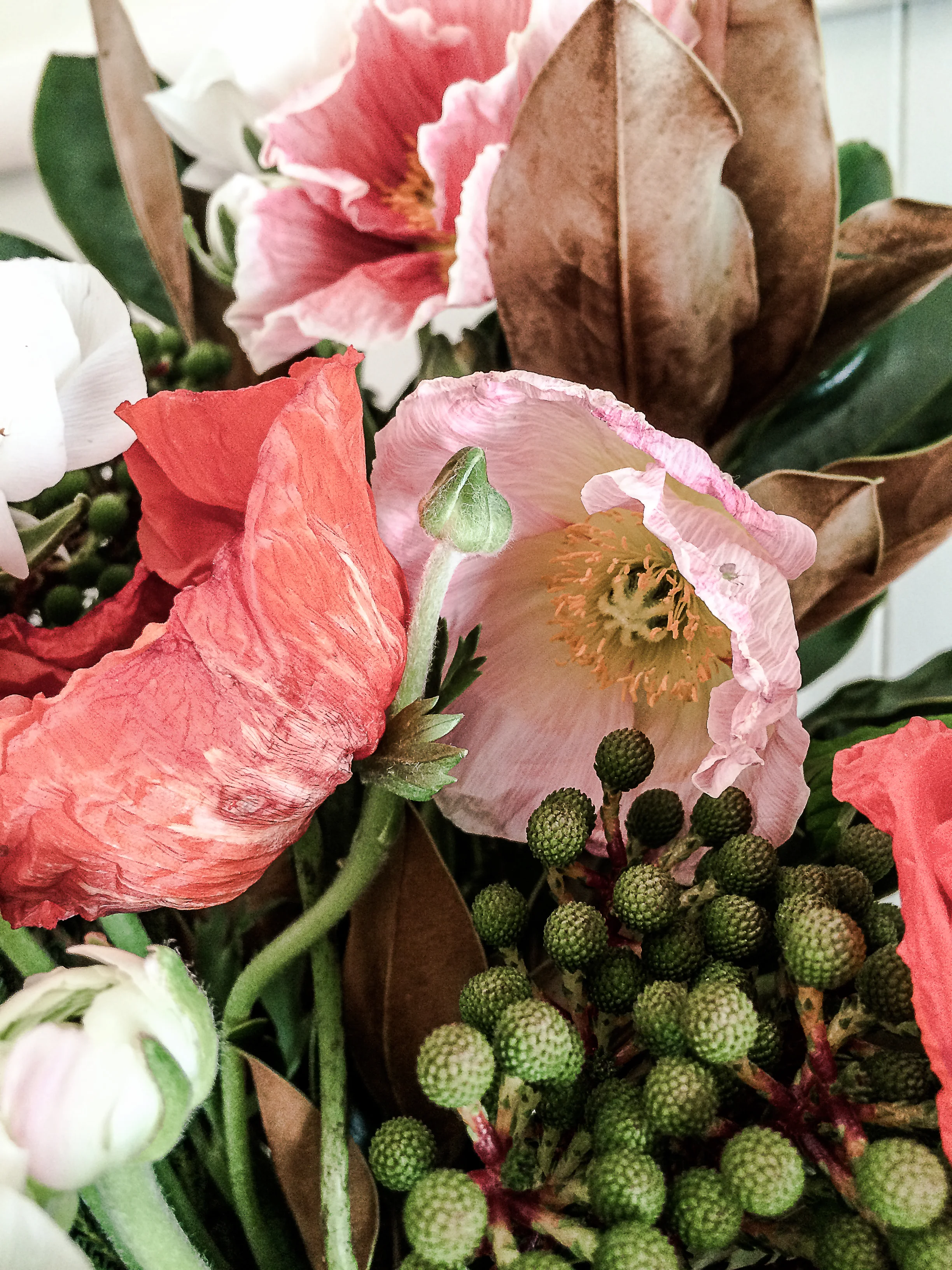 <a href="/poppies">Poppies</a>