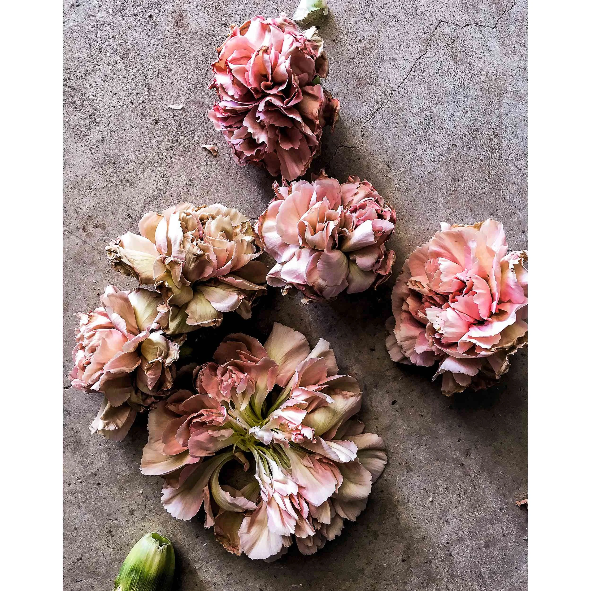 11" x 14" (28cm x 35cm)