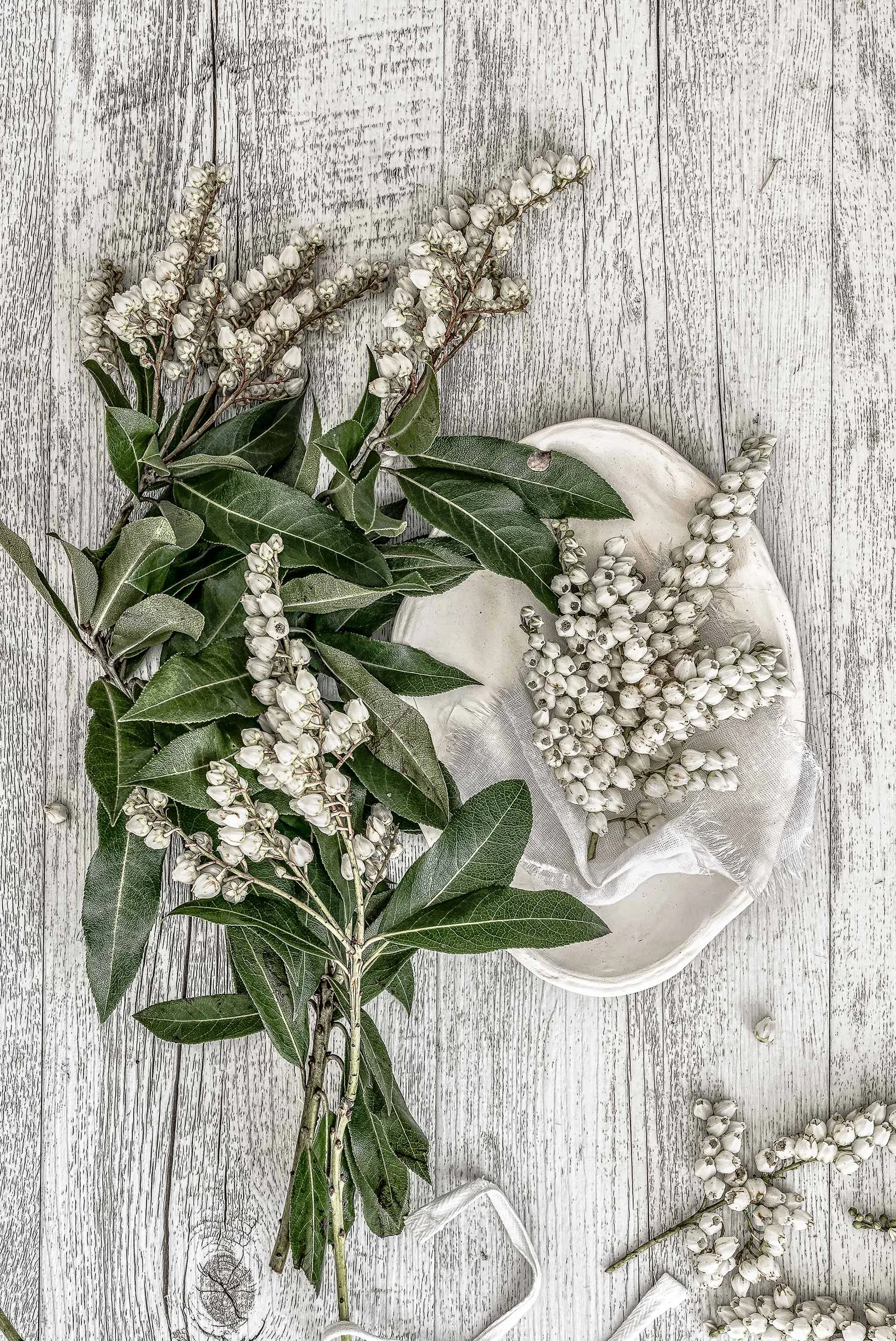 white_on_white2_32x48-web.jpg