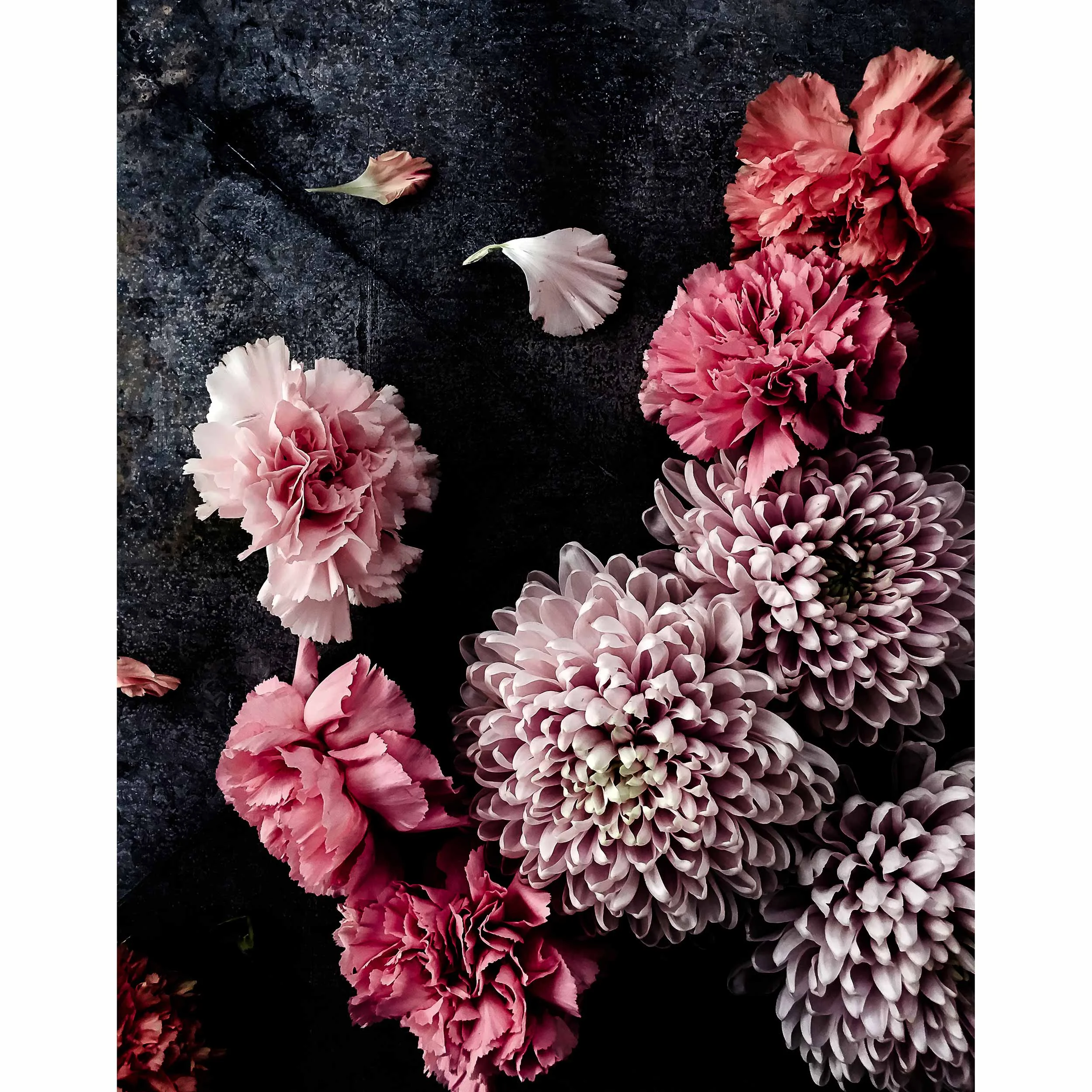 11" x 14" (28cm x 35cm)