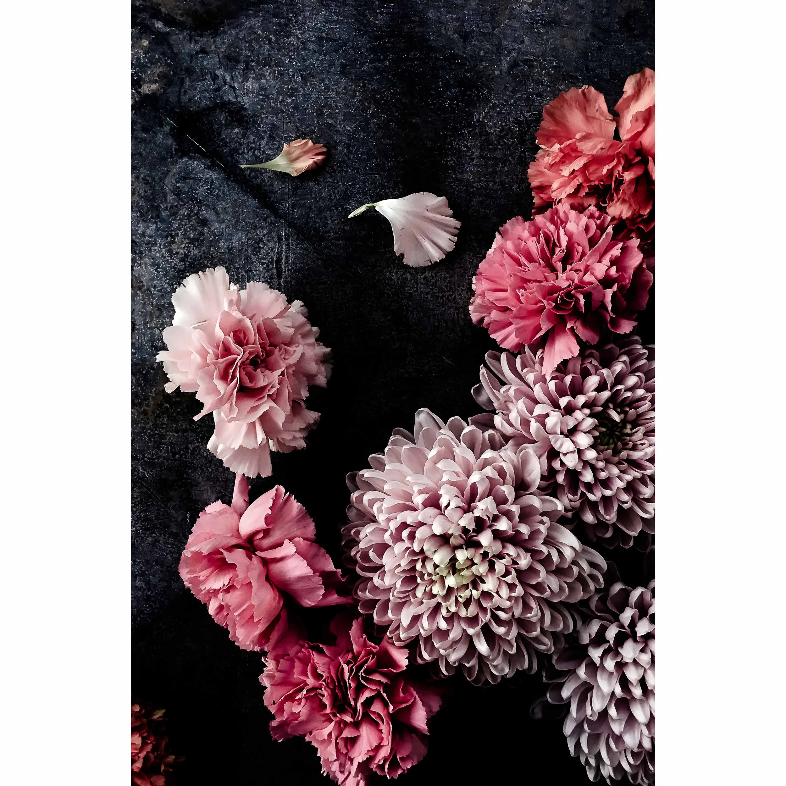 20" x 30" (51cm x 76cm)