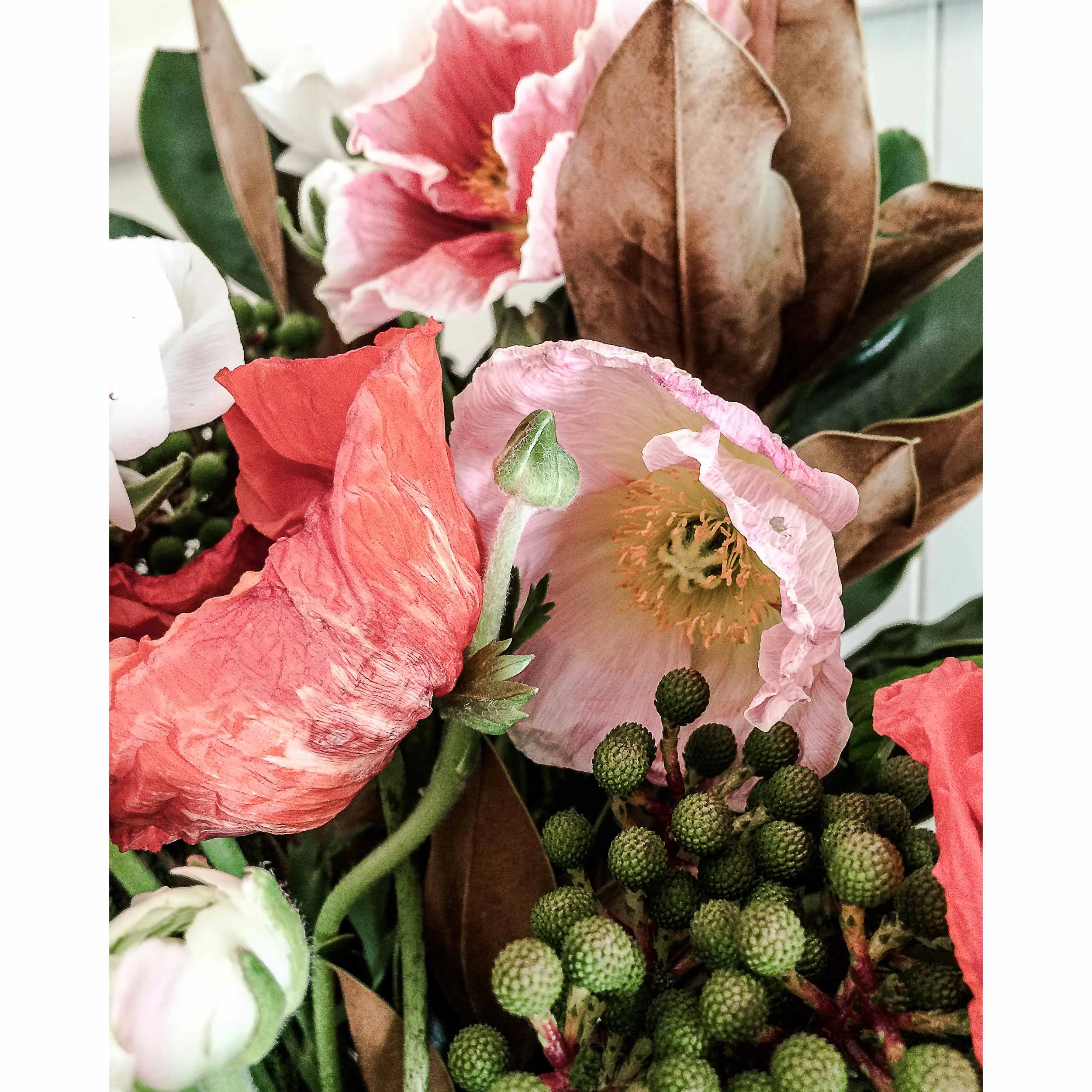 8" x 10" (20cm x 25cm)