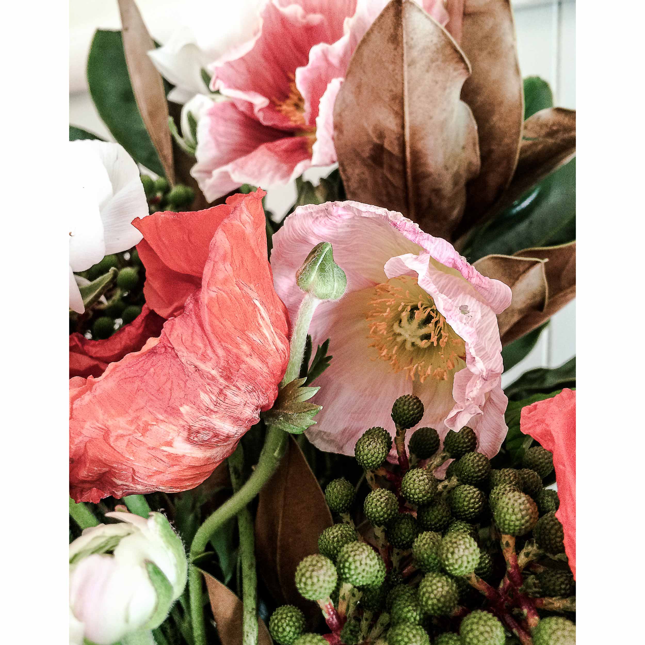 11" x 14" (28cm x 35cm)