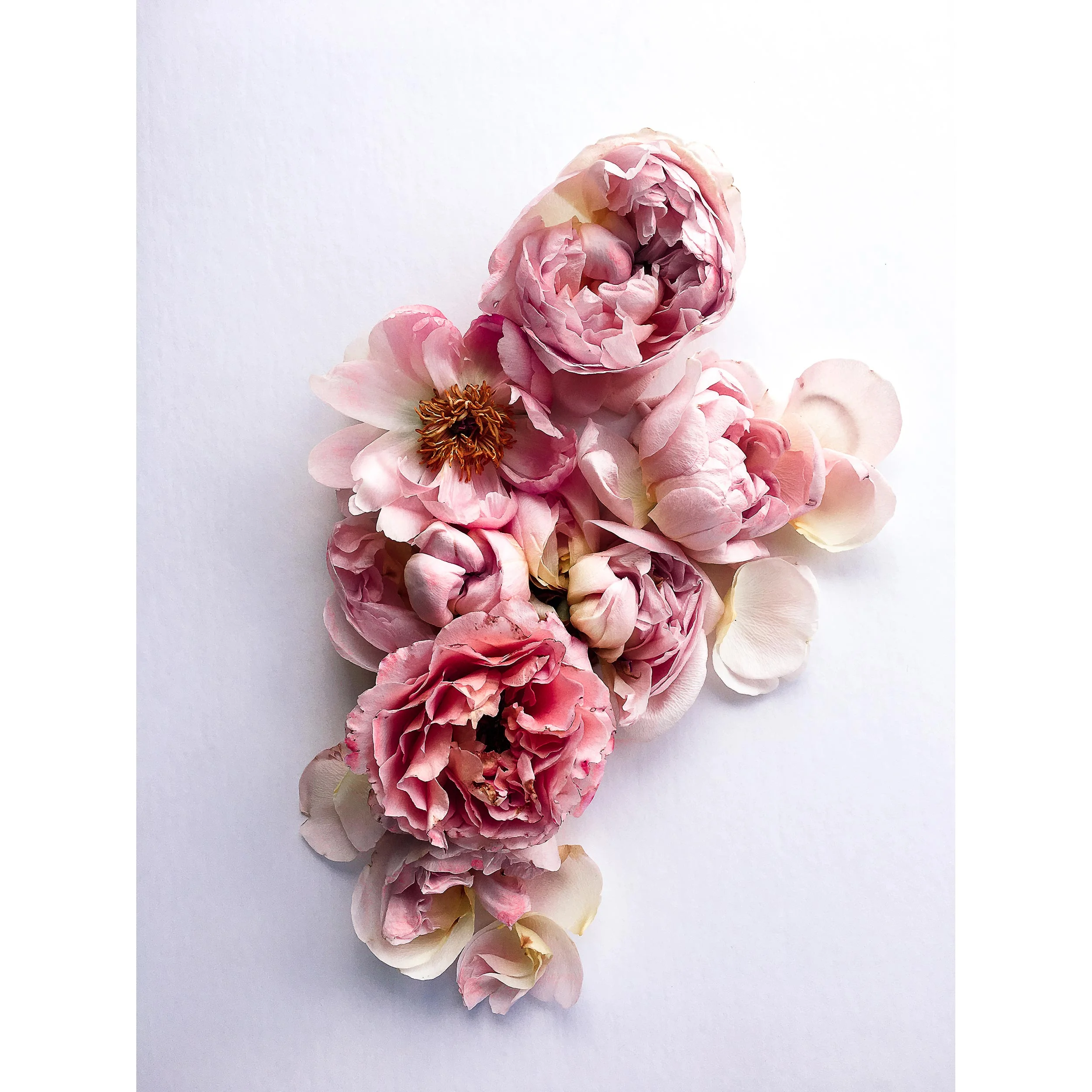 16" x 24" (40cm x 60cm)