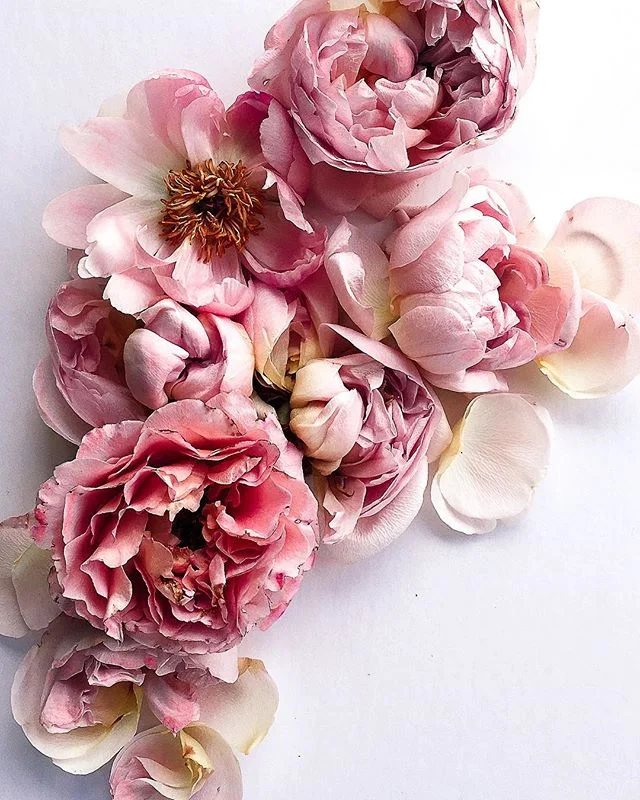 I figure, if a girl wants to be a legend, she should just go ahead and be one
- Calamity Jane