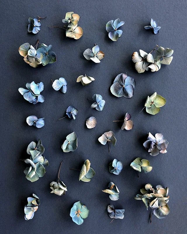 From browns to blues