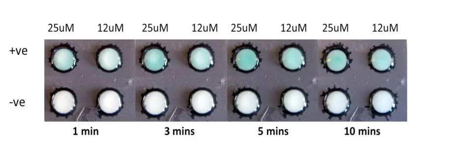 colourresponse.jpg
