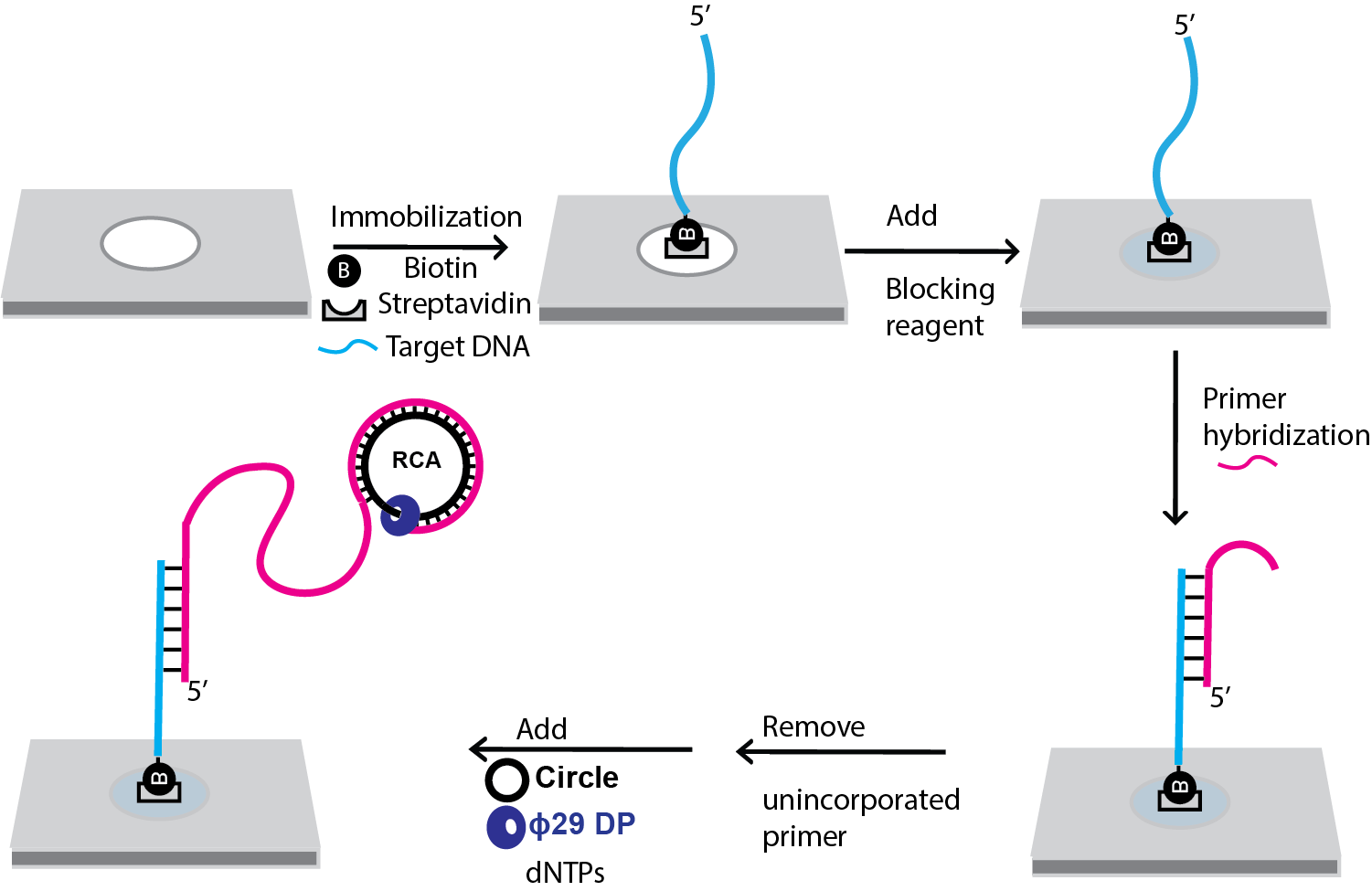 figure1.png