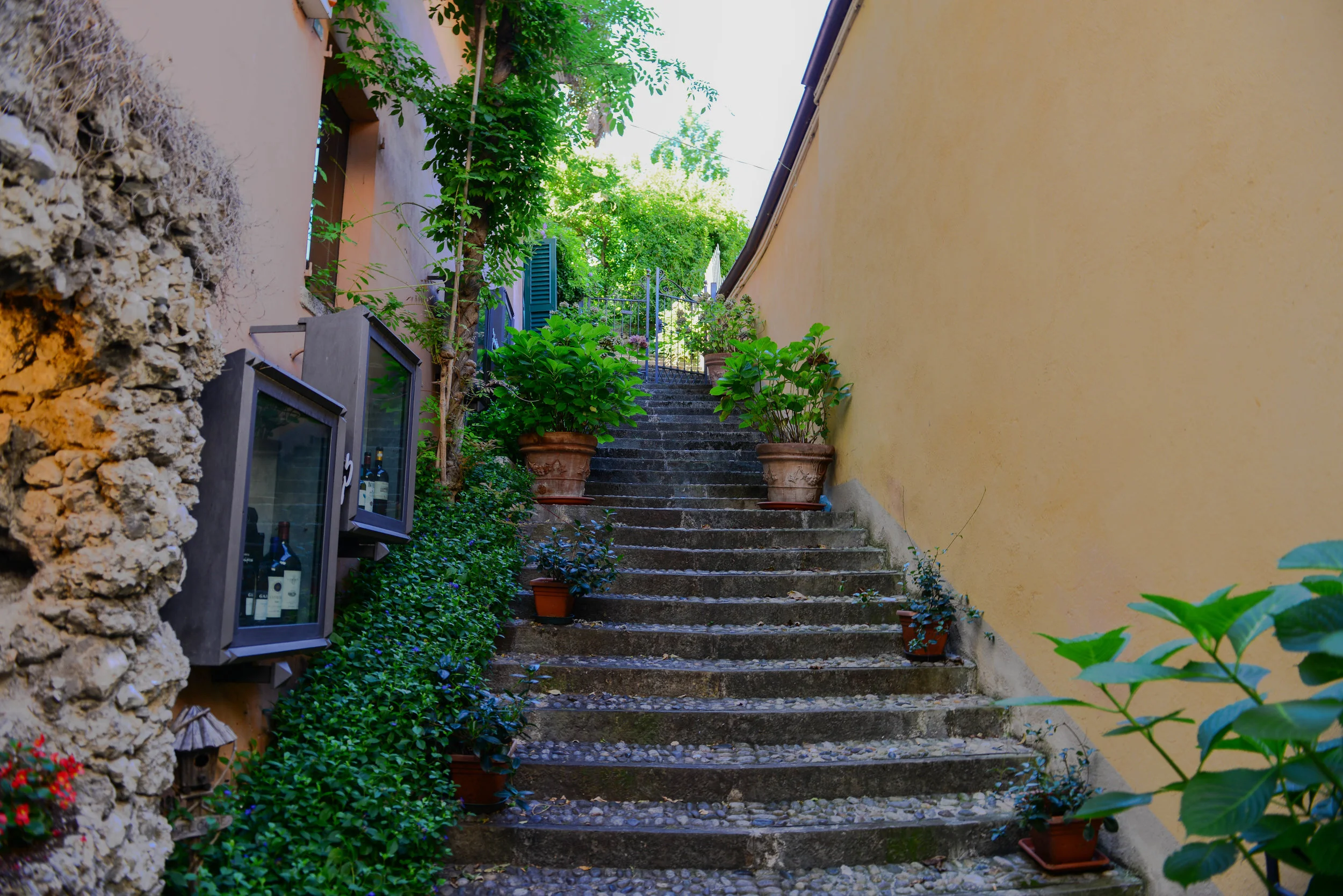DSC_3086.jpg