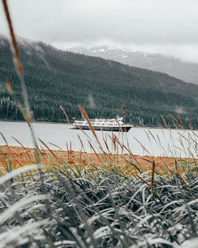Another for the #pmgridchallenge. The @lindbladexp Sea Lion from a fiord in Alaska