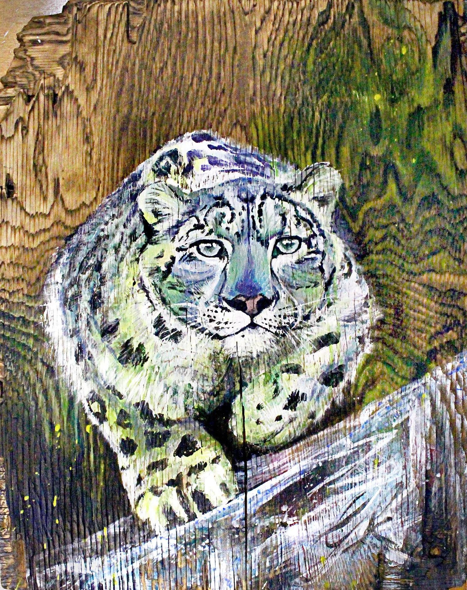 Snowleopard_300.jpg