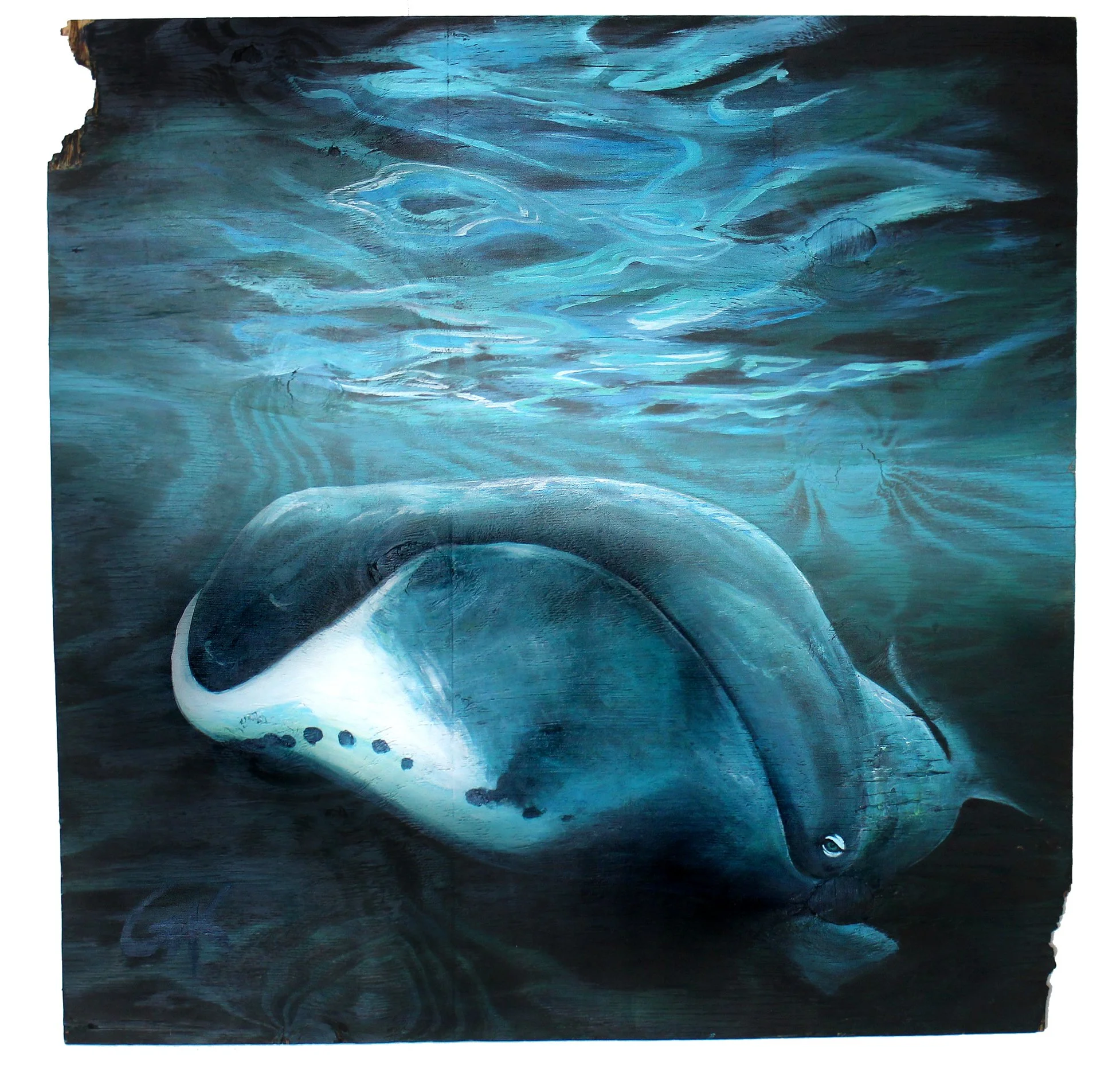 Acrylic paintings on wood