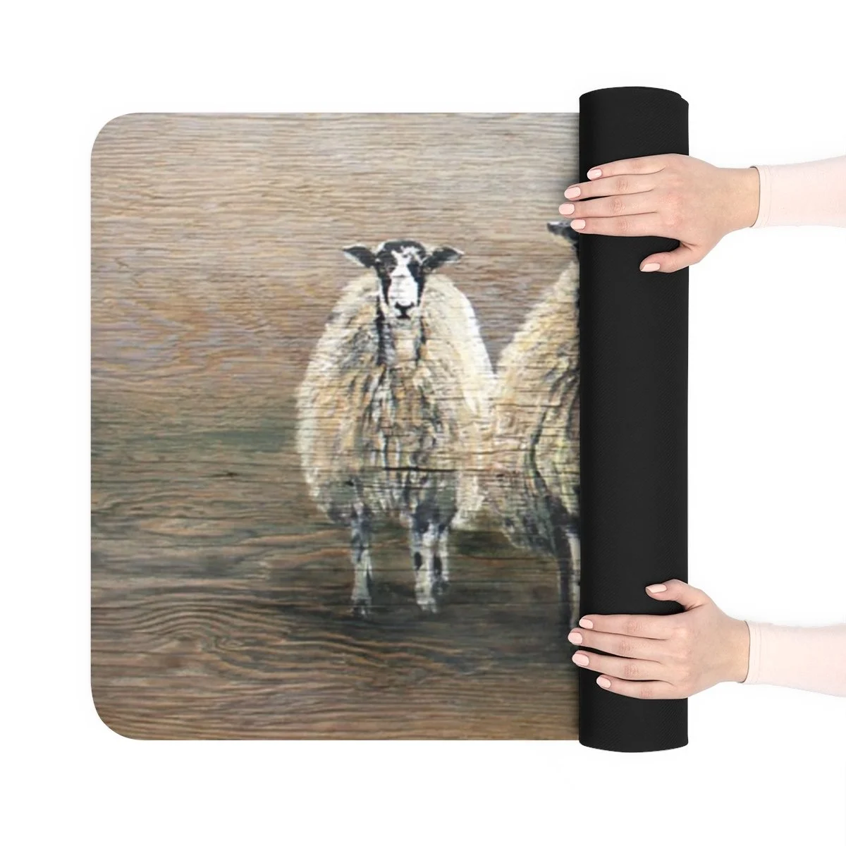 14e7a0426f8fb4aa2adc8ef3d79cc8e6