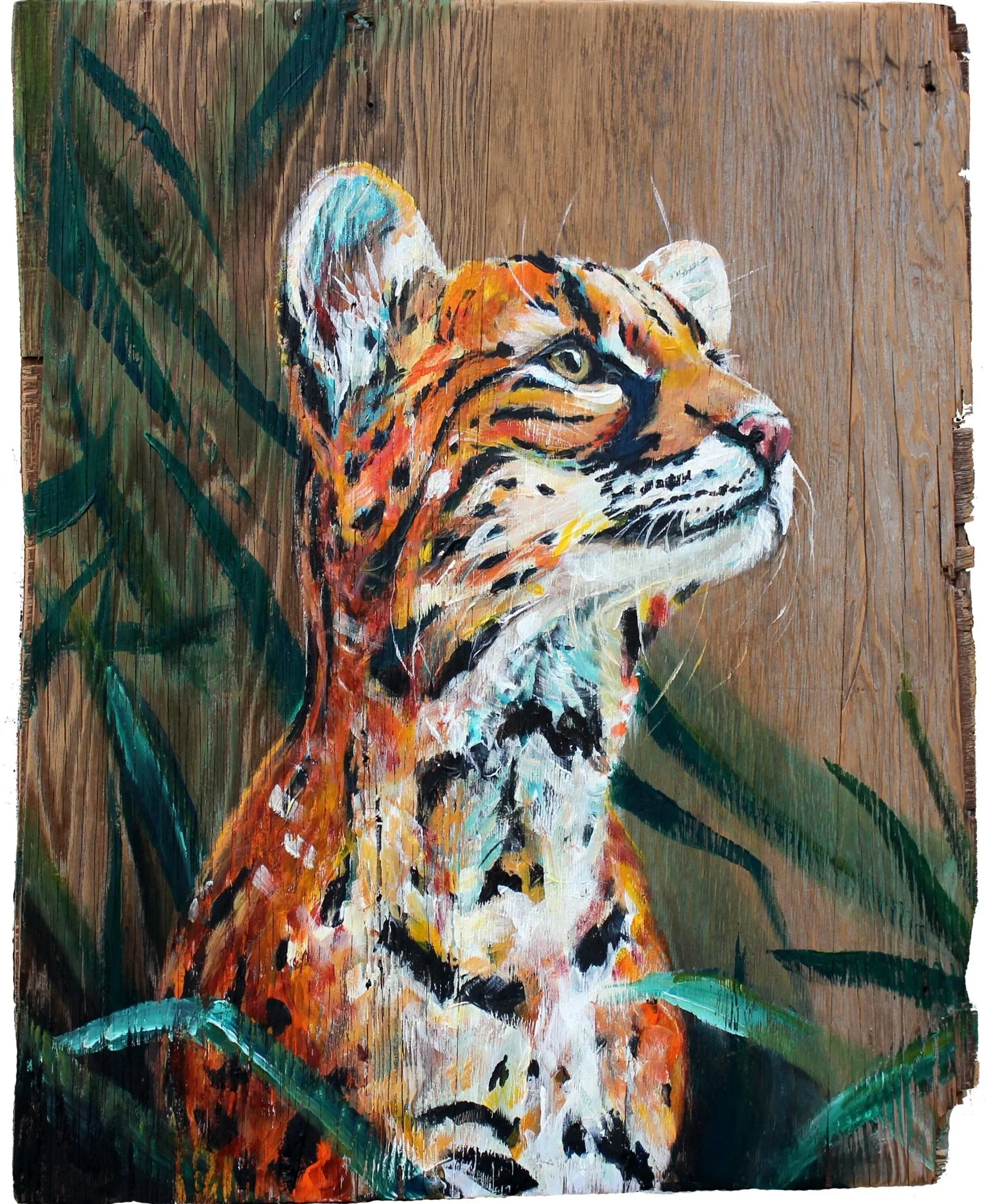 The Ocelot