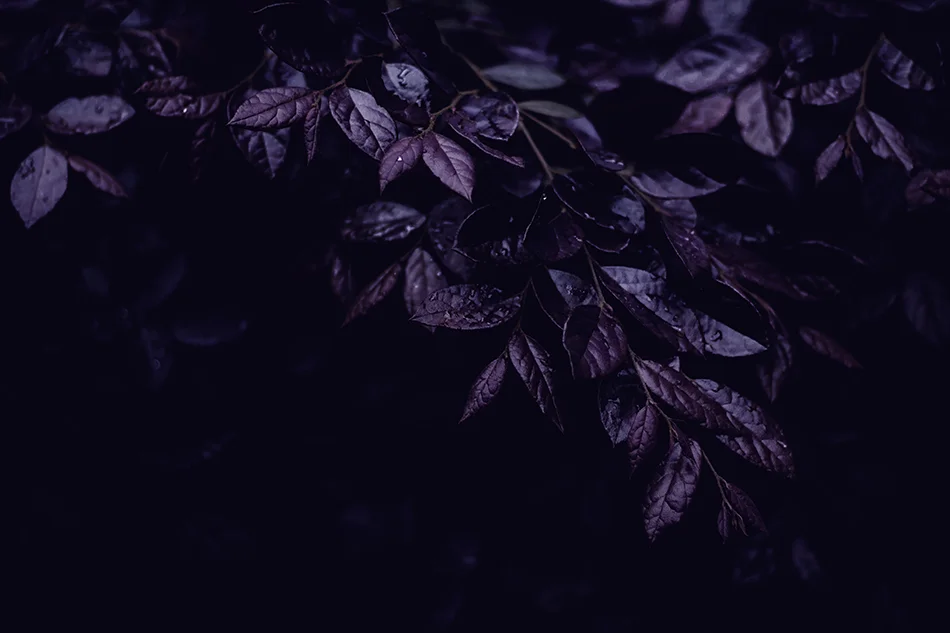 004.jpg