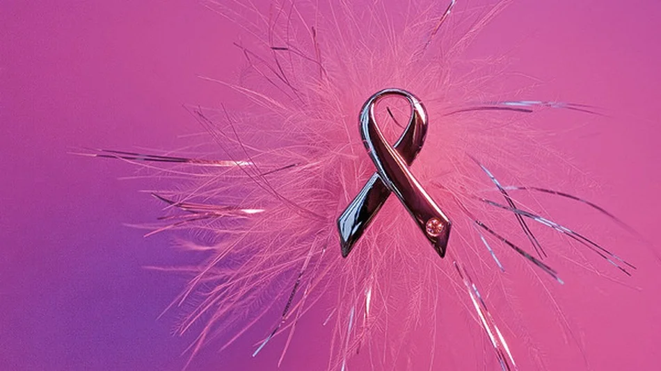 Celebrating Survivors