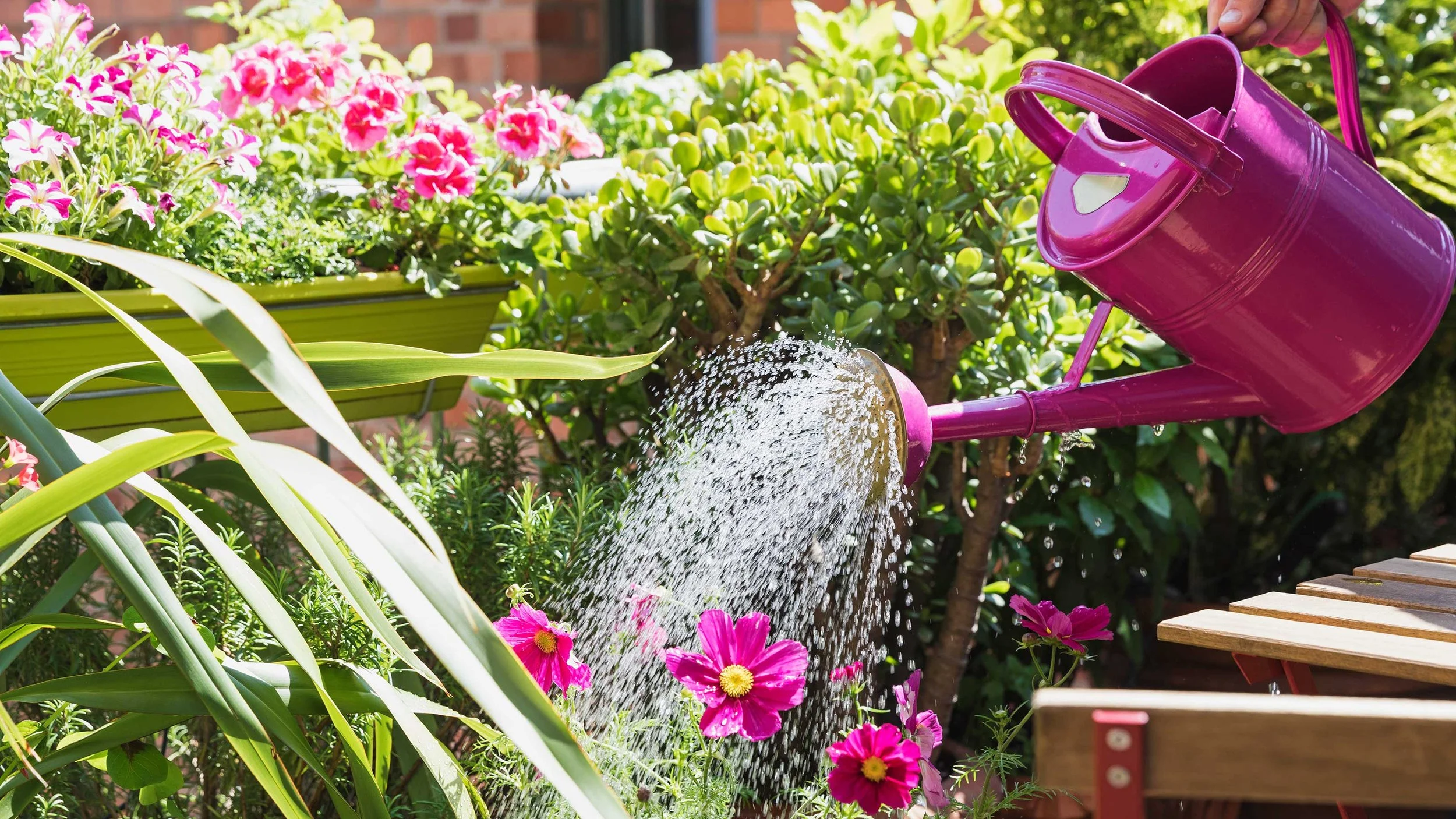 Who’s Watering Your Garden? 