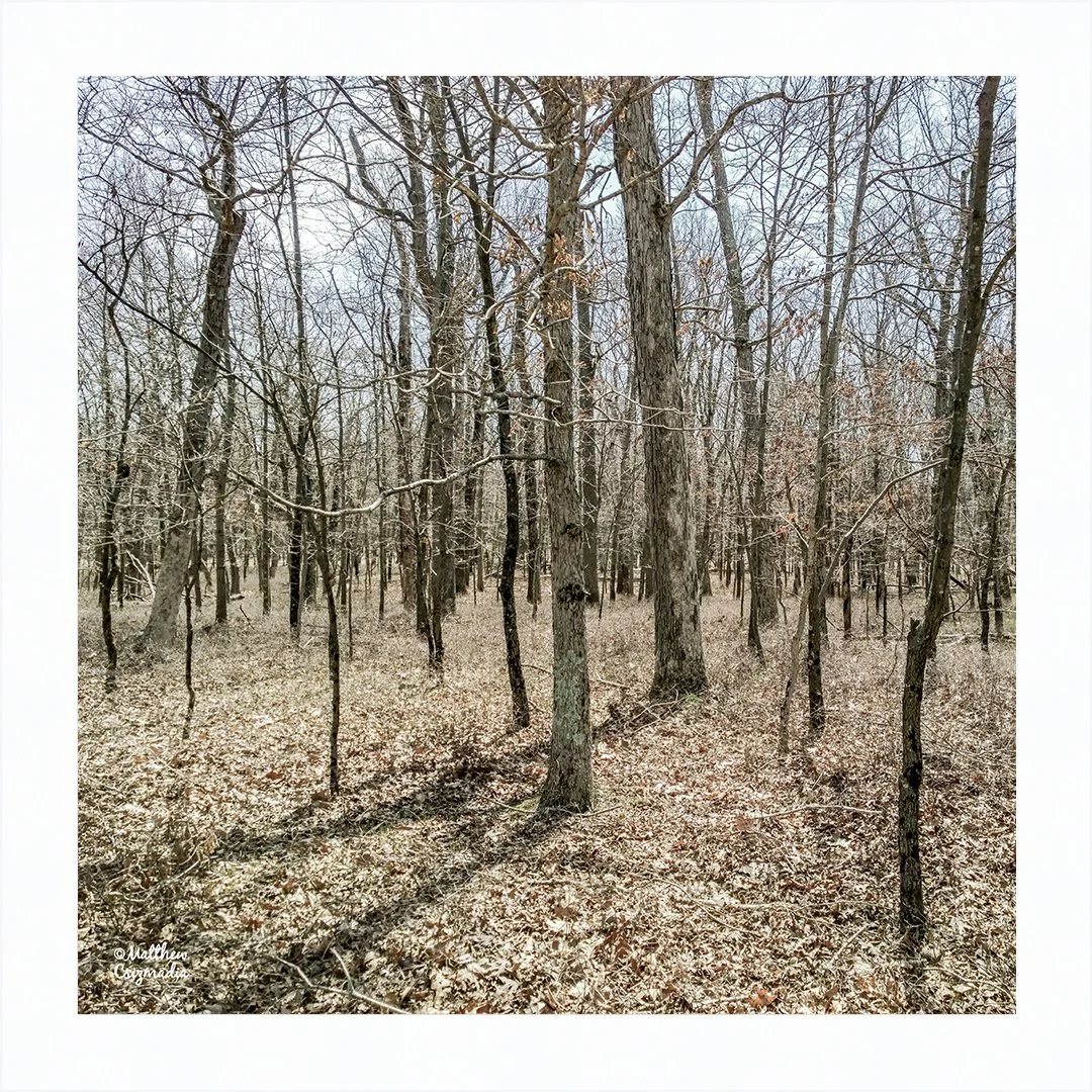 No Man's Land
