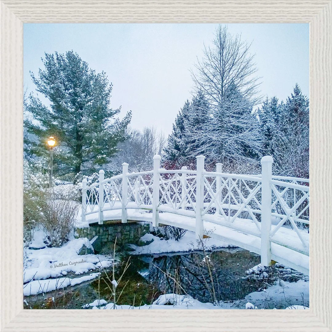 Sayen Gardens Turned Winter Wonderland