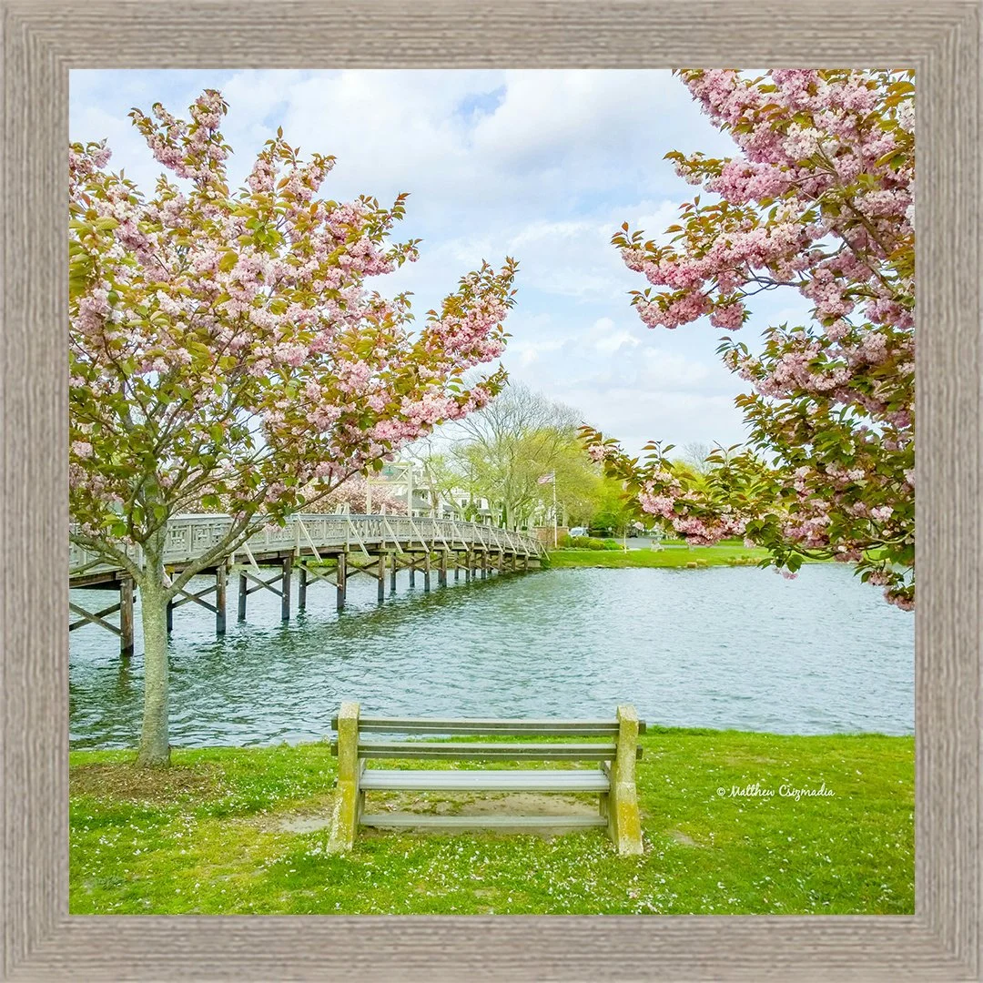 spring-lake-wreck-pond-park-bench-matthew-csizmadia.jpg