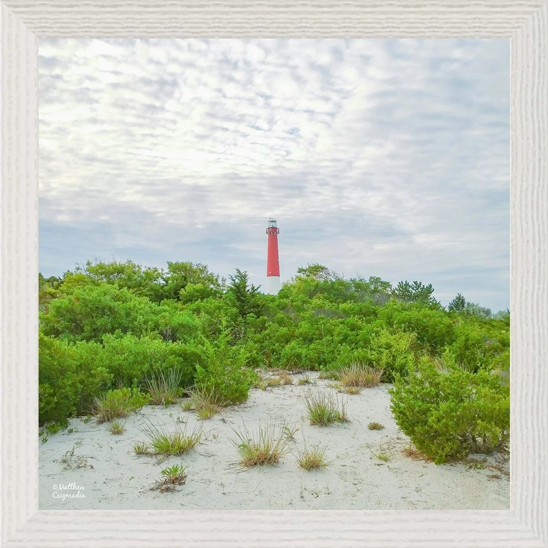 barnegat-lighthouse-dunes-matthew-csizmadia.jpg