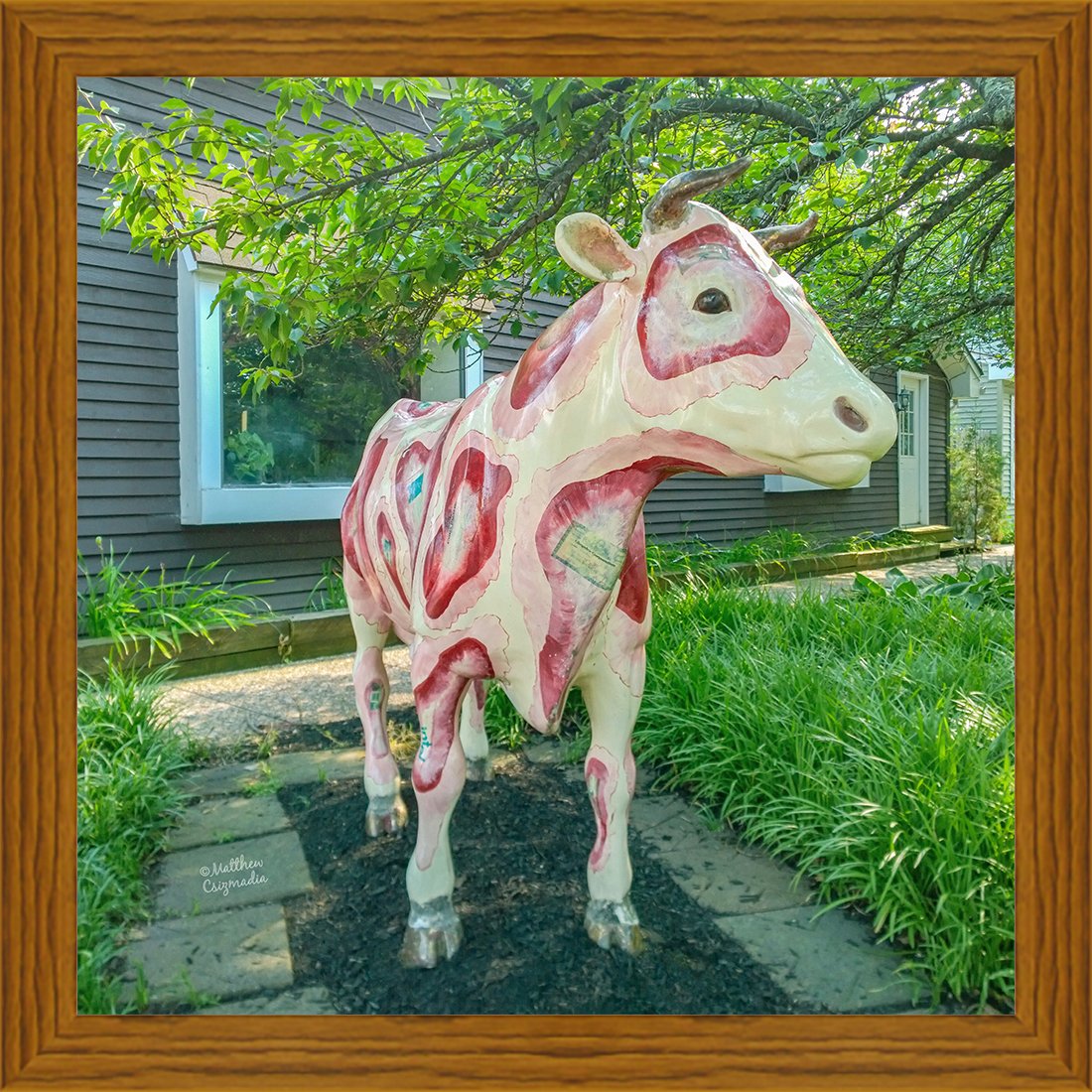 medford-cow-statue-matthew-csizmadia.jpg