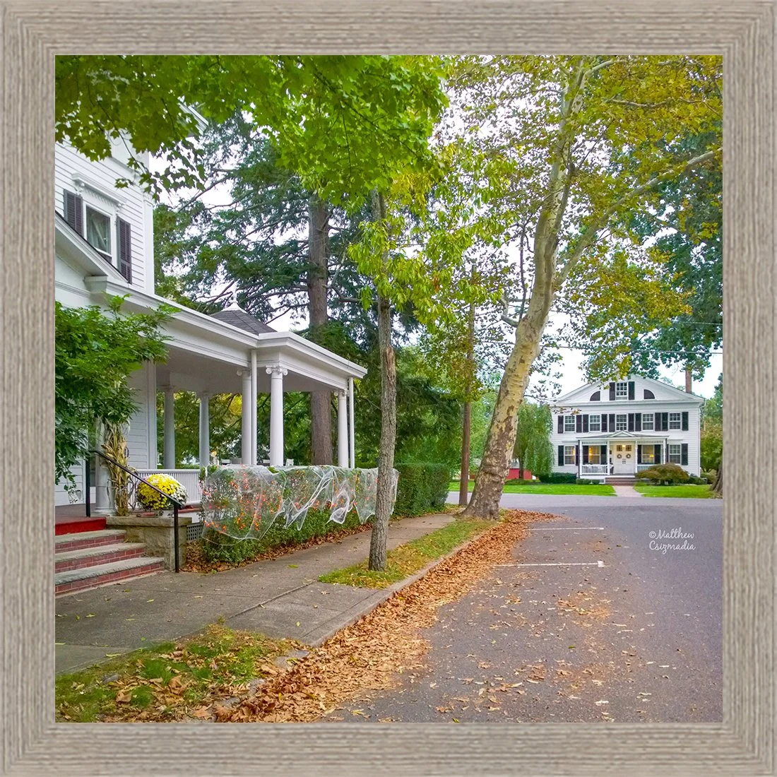 cranbury-park-pl-e-halloween-bushes-matthew-csizmadia.jpg