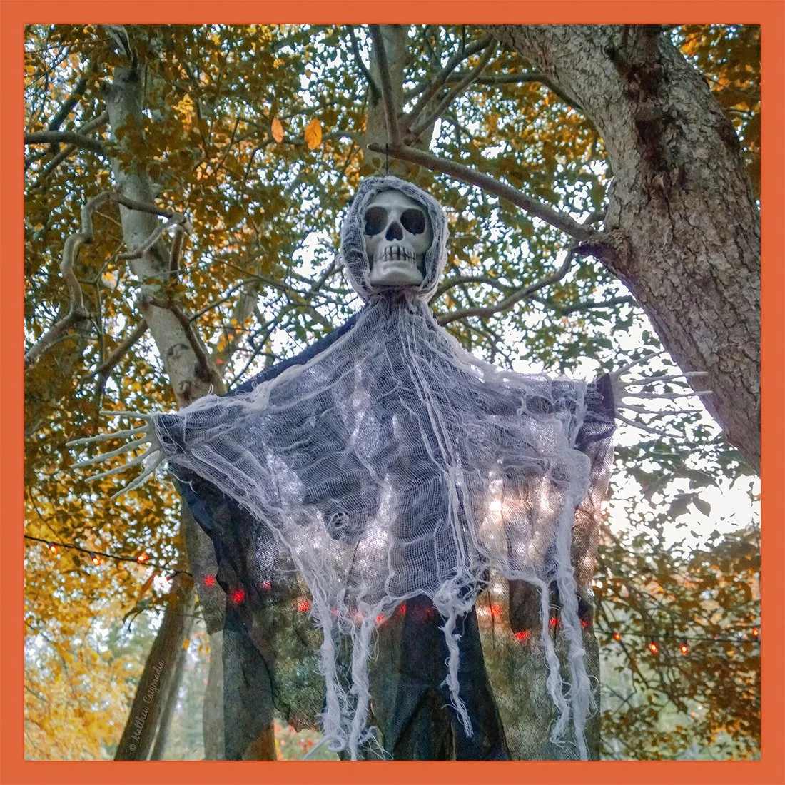 hanging-skull-doll-orange-lights-matthew-csizmadia.jpg