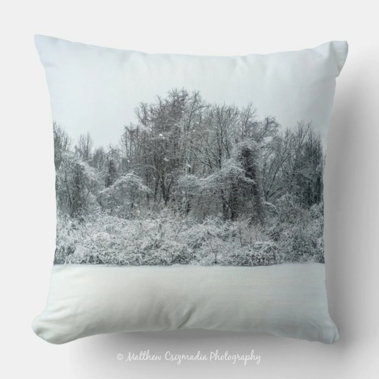 SnowDayMercerCountyParkThrowPillowWM.jpg