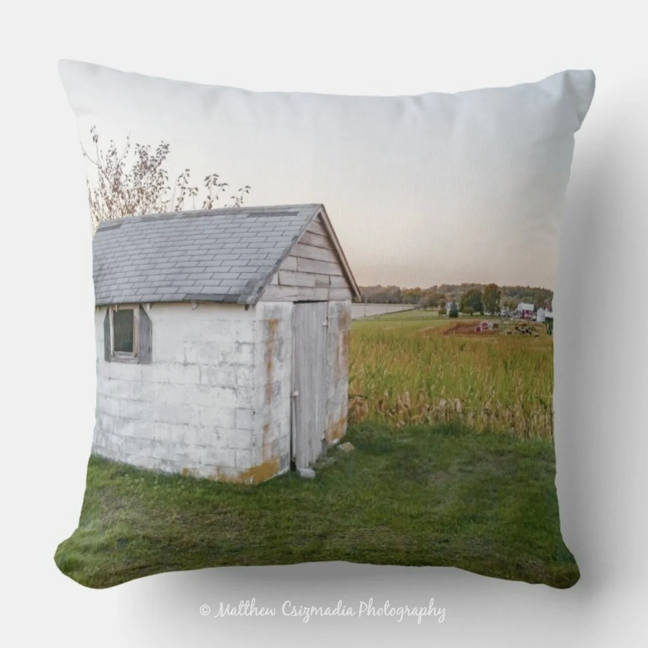 EmleysHillsThrowPillowWM.jpg