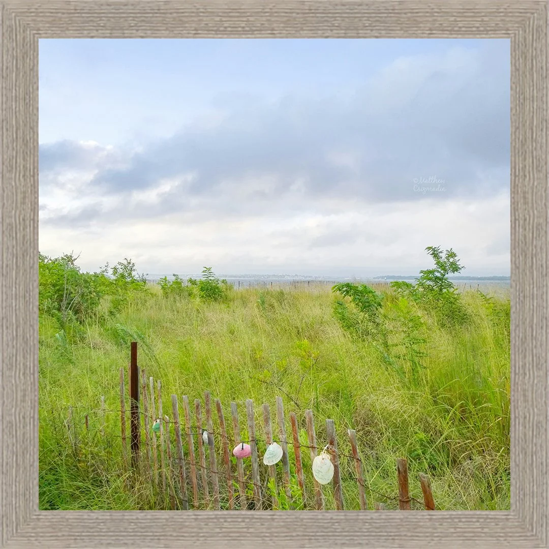 grassy-dunes-old-bridge-waterfront-park-matthew-csizmadia.jpg