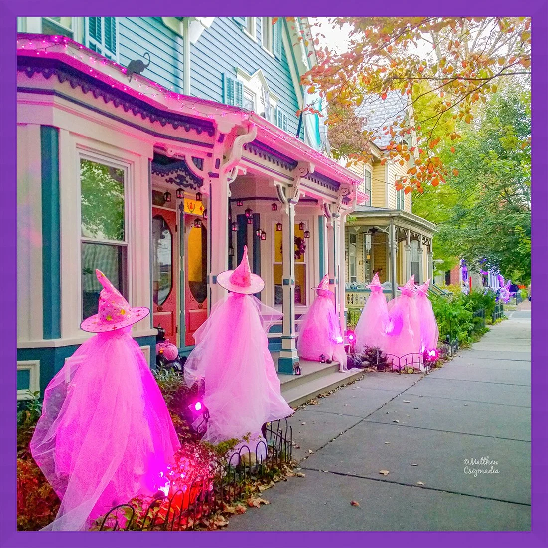 Petrifying in Pink