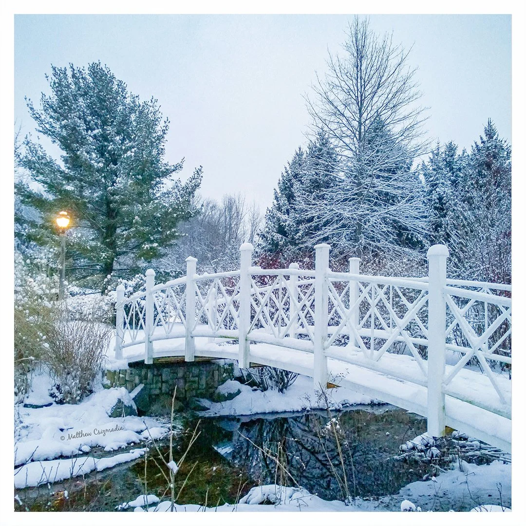 Sayen Gardens Turned Winter Wonderland