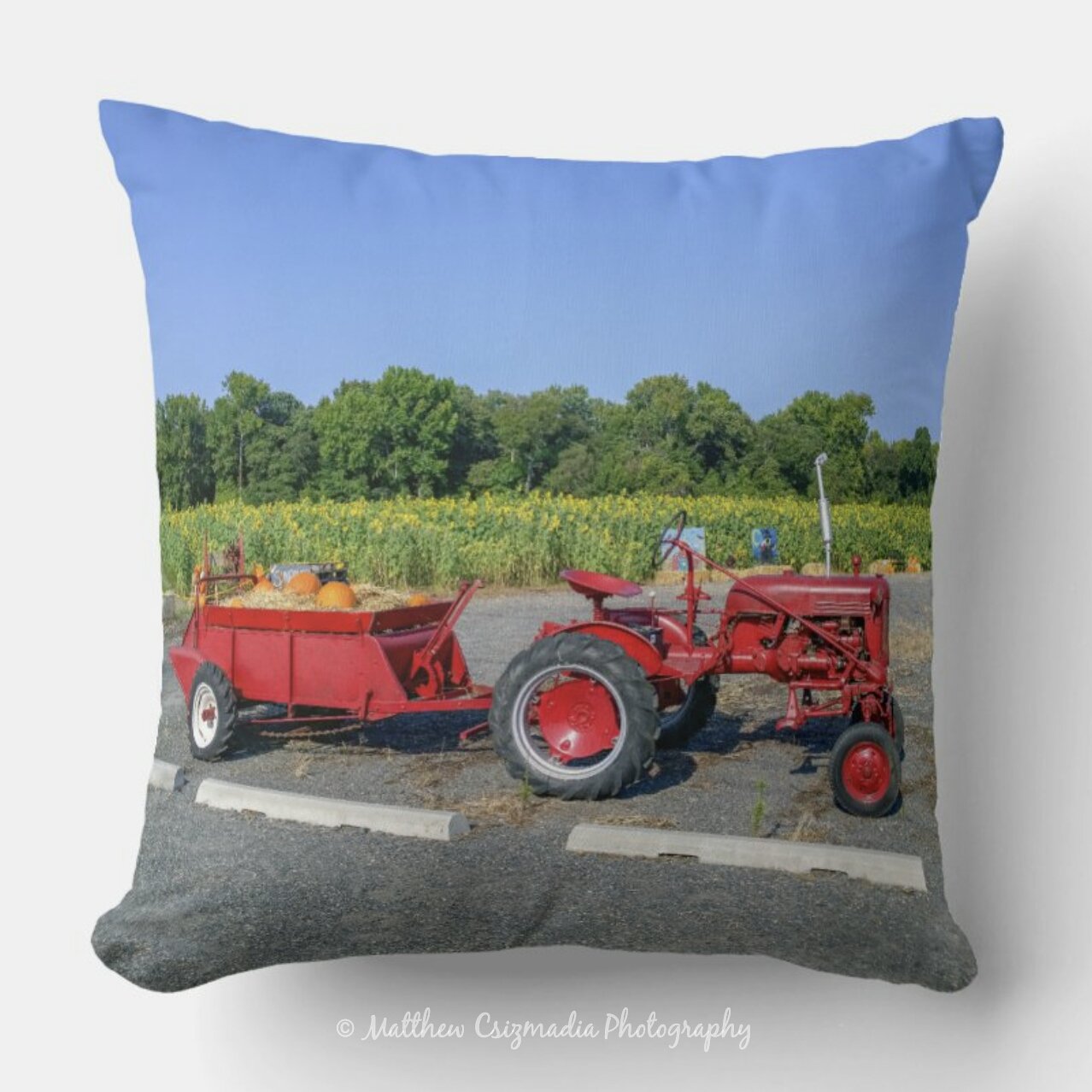 TakingAHayrideOutToThePumpkinPatchThrowPillowWM.jpg