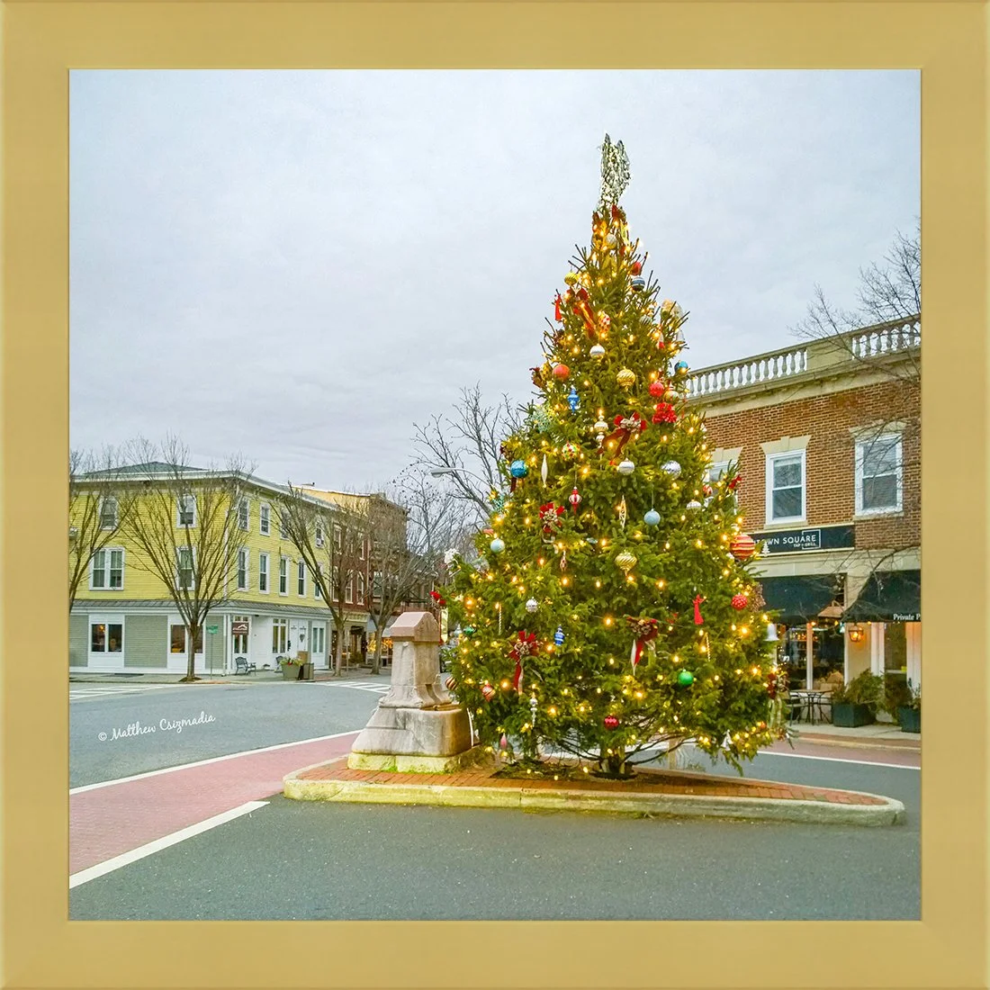 Bordentown City Christmas Tree