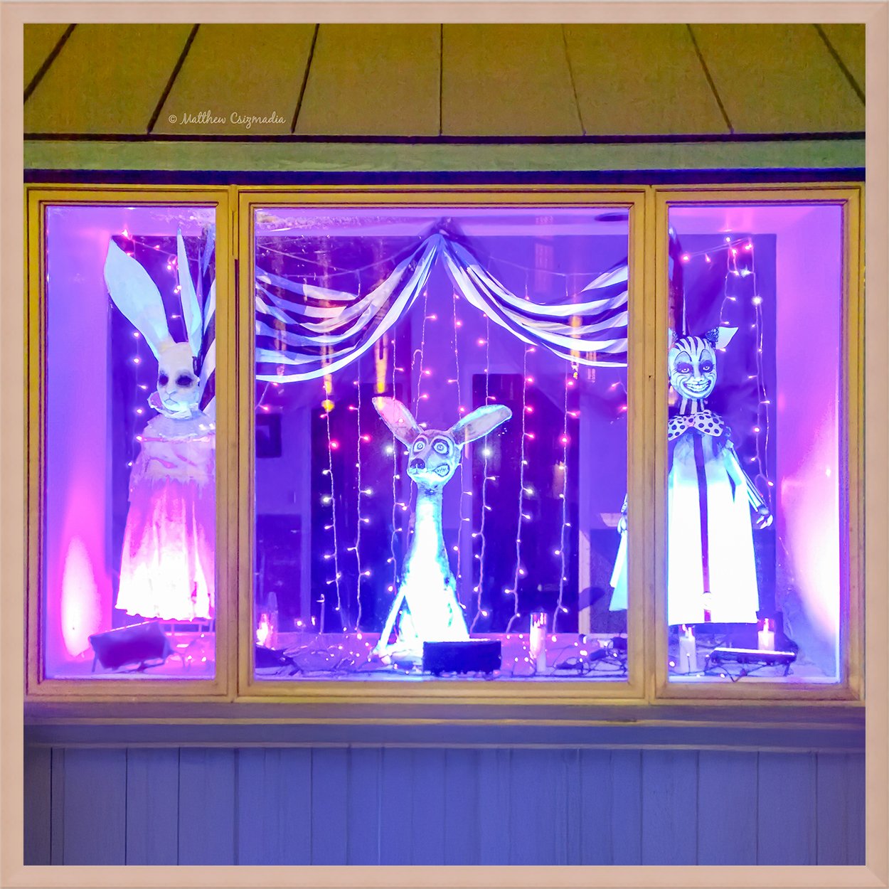 lambertville-animal-hospital-halloween-window-matthew-csizmadia.jpg