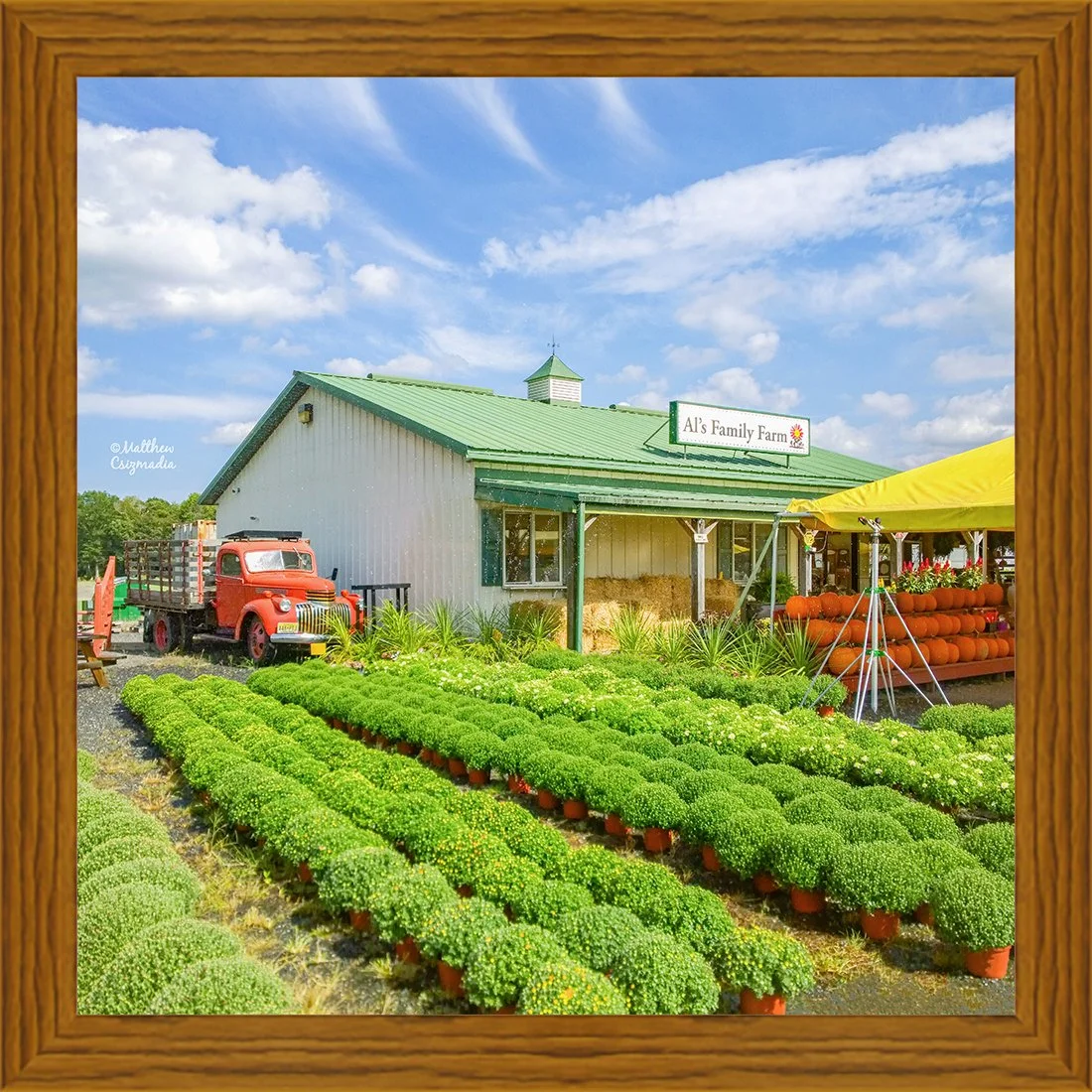 Happy Autumn from Al's Family Farm