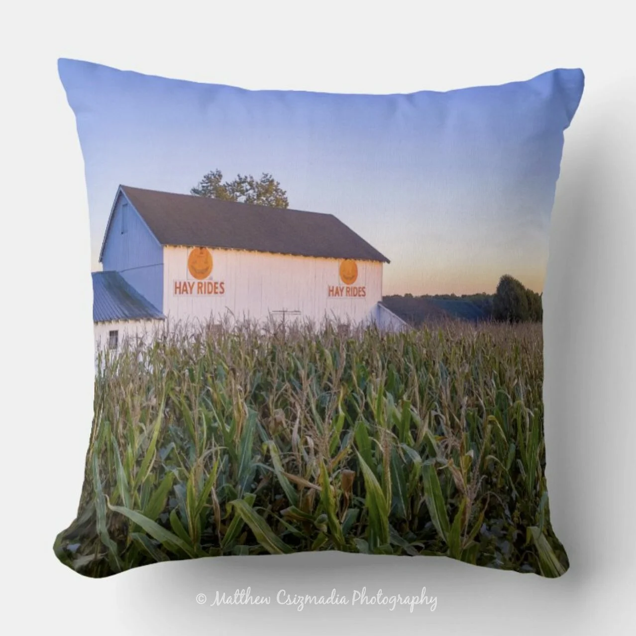 HauntedHayrideThrowPillowWM.jpg